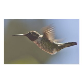 Hummingbird in Flight Rectangular Stickers