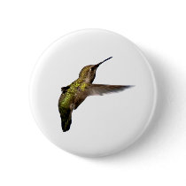 Hummingbird in Flight Round Button