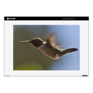 Hummingbird in Flight Skin For Laptop