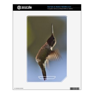 Hummingbird in Flight Skin For The Nook Color