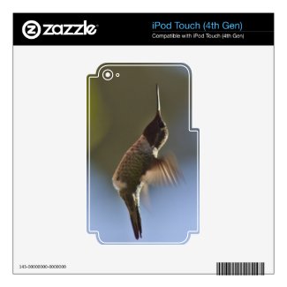 Hummingbird in Flight Skins For Ipod Touch 4g