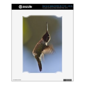 Hummingbird in Flight Skins For The Nook