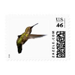 Hummingbird in Flight Small Postage