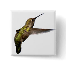 Hummingbird in Flight Square Button