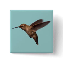 Hummingbird in Flight Square Button