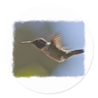 Hummingbird in Flight Sticker