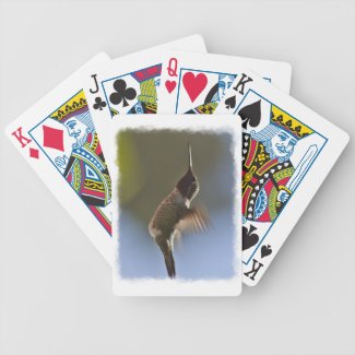 Hummingbird in Flight White Edge Card Decks