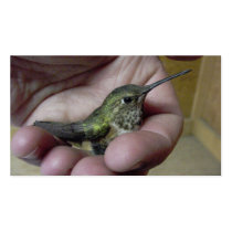 Hummingbird in Hand business cards