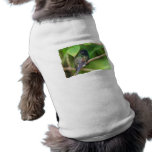 Hummingbird in Jungle Photo Dog Tee