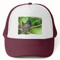 Hummingbird in Jungle Photo Hat