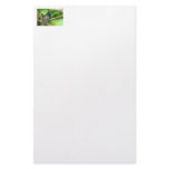 Hummingbird in Jungle Photo stationery