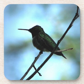 Hummingbird in Silhouette corkcoaster