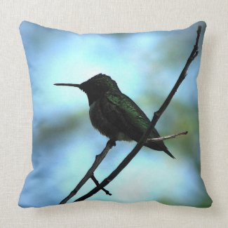 Hummingbird in Silhouette Pillow