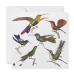 Hummingbird Invitation - 6 Beautiful Hummingbirds