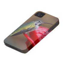 Hummingbird iPhone Case Iphone 4 Cases