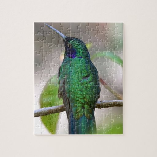 hummingbird jigsaw puzzle zazzle hummingbird jigsaw puzzle zazzle