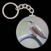 hummingbird keychain keychains