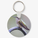 hummingbird keychain by bbug123 hummingbird keychain