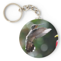 Hummingbird, keychain