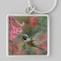 Hummingbird keychains