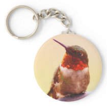 Hummingbird Keychain keychains