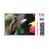 Hummingbird, large stamps