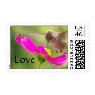 Hummingbird Love Postage