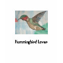 Hummingbird Lover t-shirt