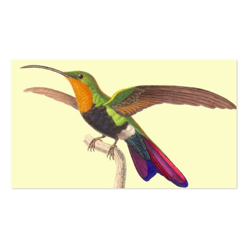 Hummingbird Lover's Business Card - Colorful (back side)