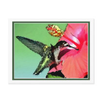 Hummingbird Lunch postcards by valleyvisions Hummingbird Lunch postcards