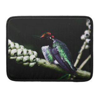 Hummingbird MacBook Pro Protective Sleeve Sleeves For MacBooks