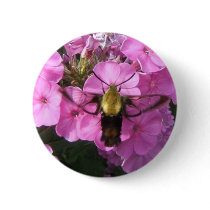 Hummingbird Moth 79 ~ button by Andy2302 Hummingbird Moth 79 ~ button