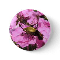 Hummingbird Moth 89 ~ button by Andy2302 Hummingbird Moth 89 ~ button