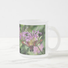Hummingbird Moth Mug mug