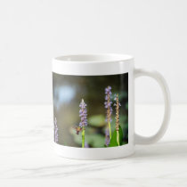 Hummingbird Moth on Pickerel-weed Mug