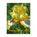 HUMMINGBIRD MOTH postcards