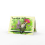 Hummingbird Mother's Day Cards