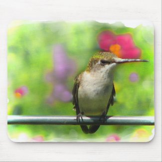 Hummingbird Mouse Pad