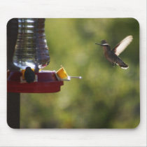 Hummingbird Mouse Pad mousepads