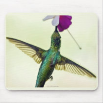 Hummingbird Mouse Pad mousepads by valleyvisions Hummingbird Mouse Pad mousepads