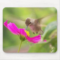 Hummingbird Mousepad