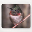 Hummingbird Mousepad by toots1 Hummingbird Mousepad