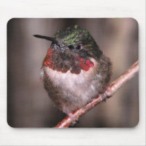 Hummingbird Mousepad by toots1 Hummingbird Mousepad