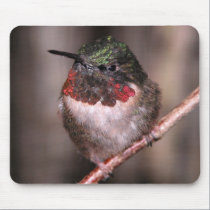 Hummingbird Mousepad by toots1 Hummingbird Mousepad