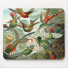 standard_mousepad - Colorful mousepad featuring vintage drawing of various species of hummingbirds
