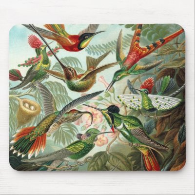 Hummingbird Mousepad by mosswood