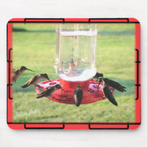 Hummingbird Mousepad