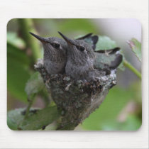 Hummingbird mousepad