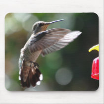 Hummingbird, mousepad