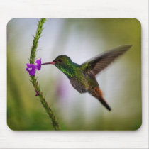hummingbird mousepads by pbeaker hummingbird mousepads